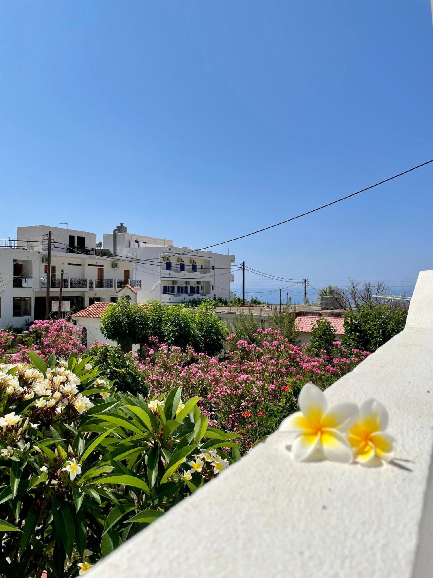 Panorama Rooms Agia Roumeli Exterior photo